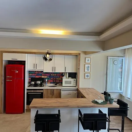 Bosphorus View 2+1 Flat In Uskudar Pasalimani Κωνσταντινούπολη