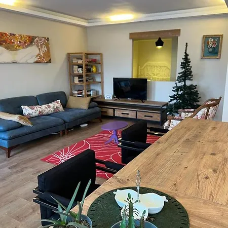 Bosphorus View 2+1 Flat In Uskudar Pasalimani