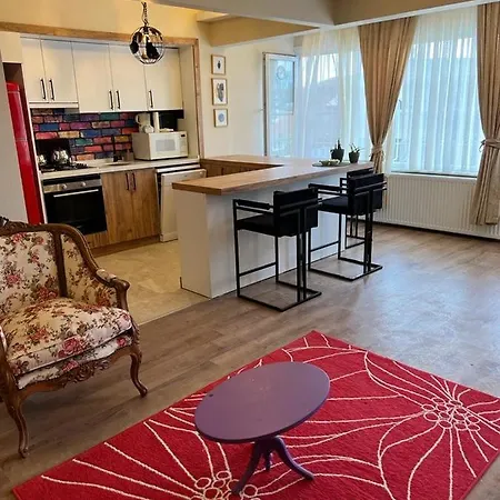 Bosphorus View 2+1 Flat In Uskudar Pasalimani Provincia di Istanbul
