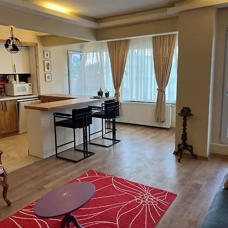 公寓 Bosphorus View 2+1 Flat In Uskudar Pasalimani